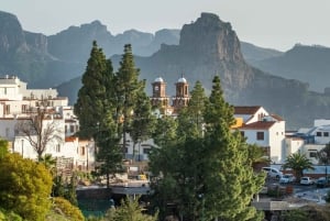 Maspalomas & Las Palmas: Artenara, Tamadaba & cider tasting