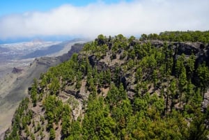 Maspalomas & Las Palmas: Artenara, Tamadaba & cider tasting