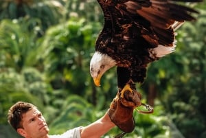 Maspalomas: Ticket de entrada a Palmitos Park con Espectáculos de Delfines y Aves