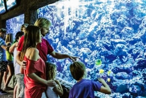 Maspalomas: Ticket de entrada a Palmitos Park con Espectáculos de Delfines y Aves