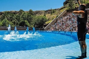 Maspalomas: Ticket de entrada a Palmitos Park con Espectáculos de Delfines y Aves