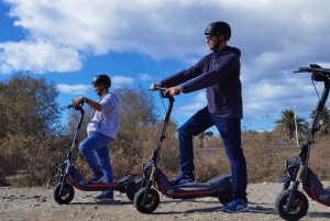 Maspalomas & Playa del Ingles: Guided Electric Segway Tour