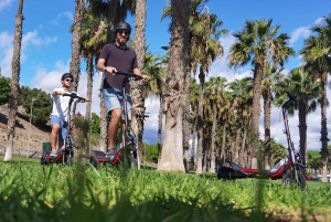 Maspalomas & Playa del Ingles: Guided Electric Segway Tour