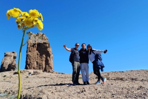 Maspalomas: Roque Nublo - hiking on volcanoes by Sky Rebels
