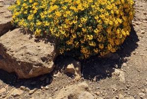 Maspalomas: Roque Nublo - hiking on volcanoes by Sky Rebels