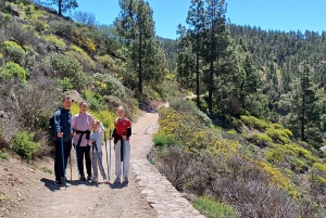 Maspalomas: Roque Nublo - hiking on volcanoes by Sky Rebels