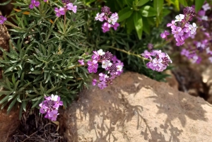 Maspalomas: Roque Nublo - hiking on volcanoes by Sky Rebels