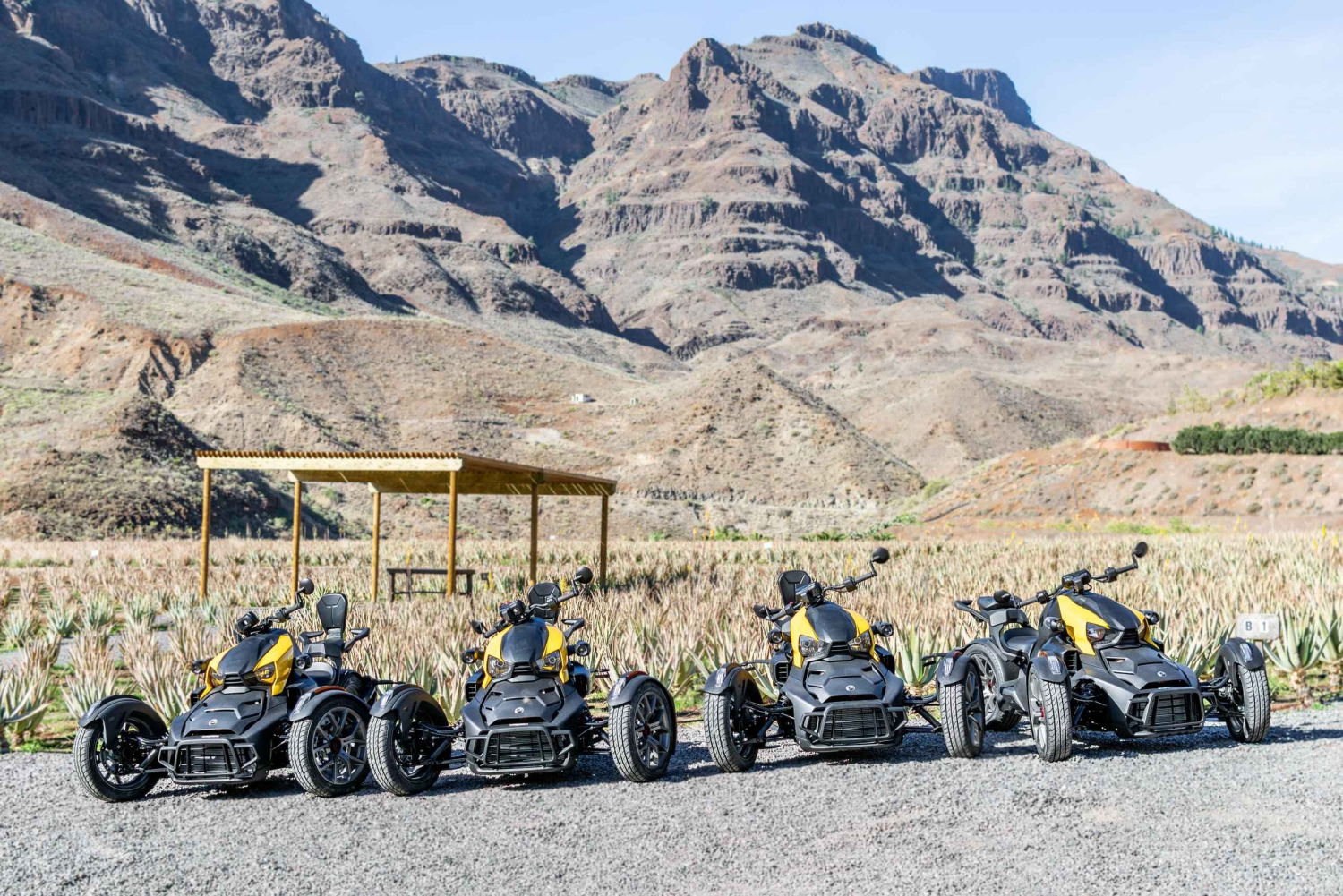 Maspalomas: Ryker Moto Tour a Fataga (Buggy de montaña)