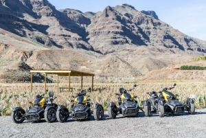 Maspalomas: Ryker Moto Tour a Fataga (Buggy de montaña)