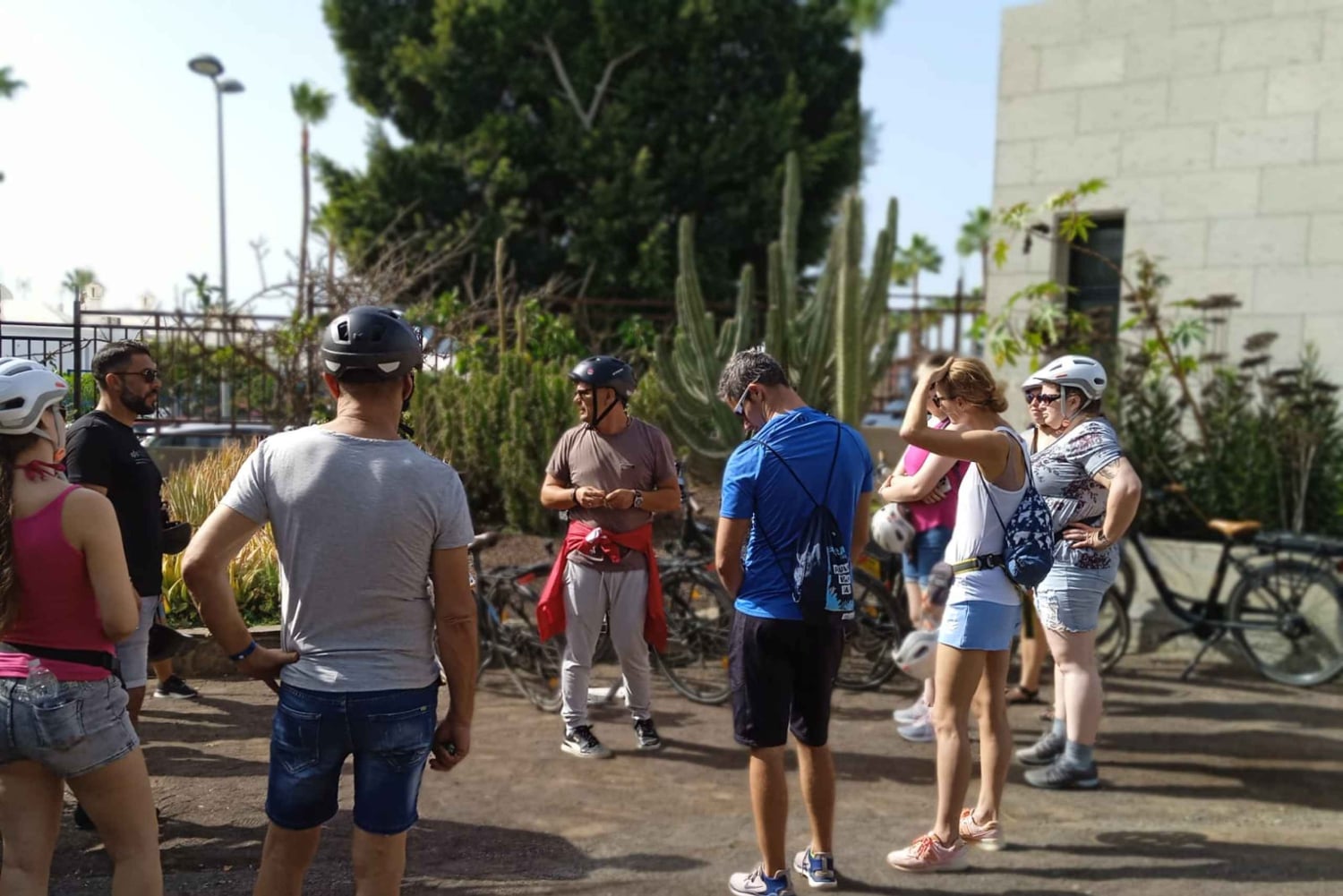 Maspalomas: Southern Coast E-Bike Tour Option Tapas Tasting