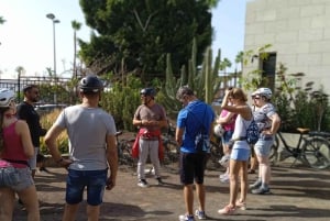 Maspalomas: Southern Coast E-Bike Tour Option Tapas Tasting