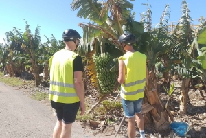 Maspalomas: Southern Coast E-Bike Tour Option Tapas Tasting