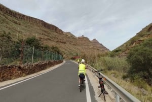 Maspalomas: Southern Coast E-Bike Tour Option Tapas Tasting