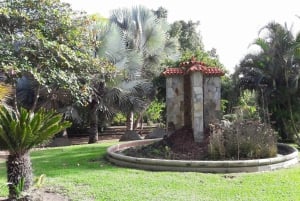 Maspalomas: Southern Coast E-Bike Tour Option Tapas Tasting