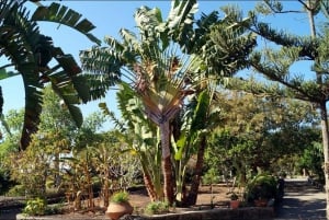 Maspalomas: Southern Coast E-Bike Tour Option Tapas Tasting