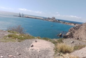 Maspalomas: Southern Coast E-Bike Tour Option Tapas Tasting