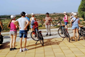 Maspalomas: Southern Coast E-Bike Tour Option Tapas Tasting