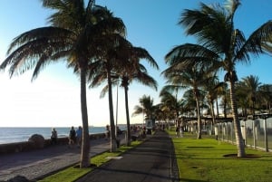 Maspalomas: Southern Coast E-Bike Tour Option Tapas Tasting