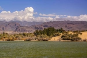 Maspalomas: Southern Coast E-Bike Tour Option Tapas Tasting