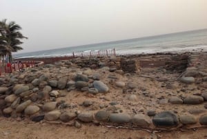 Maspalomas: Southern Coast E-Bike Tour Option Tapas Tasting