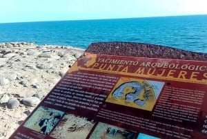 Maspalomas: Southern Coast E-Bike Tour Option Tapas Tasting