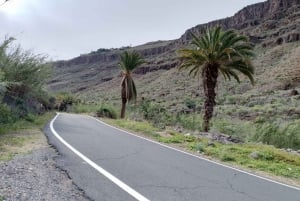 Maspalomas: Southern Coast E-Bike Tour Option Tapas Tasting