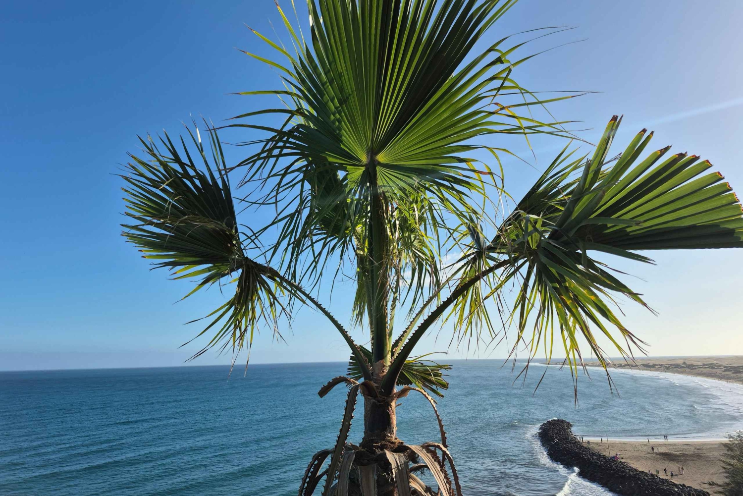 Maspalomas: Sunset Walking Tour with Lighthouse Views