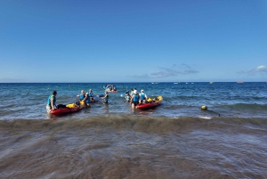 Mogán: Excursión guiada en Kayak a las Cuevas y Snorkel