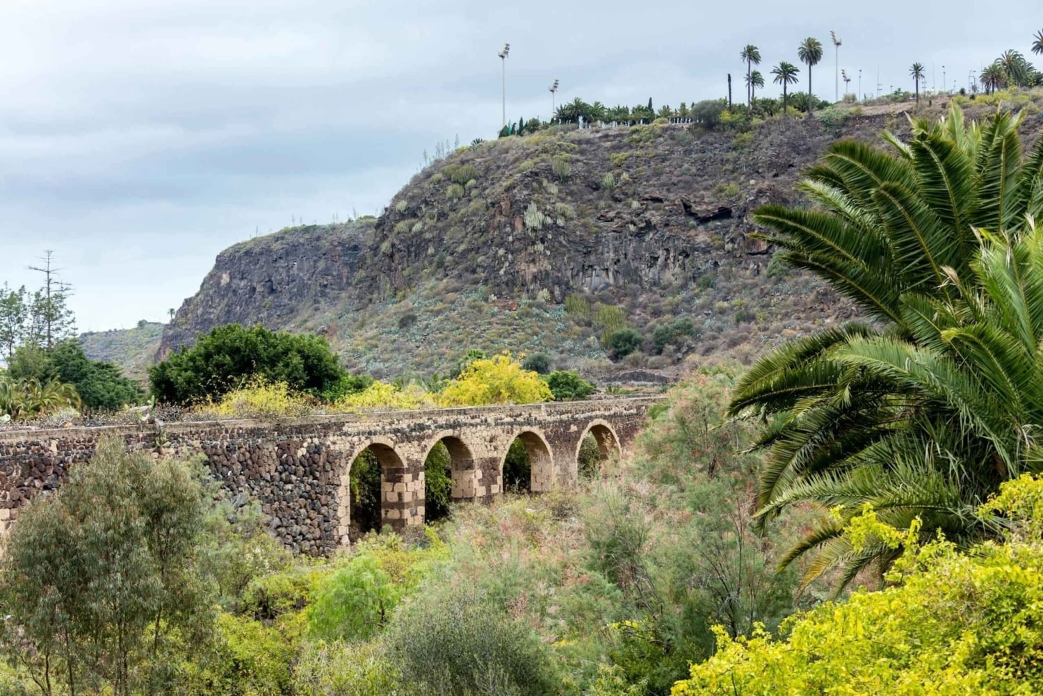 Northern Gran Canaria tour with botanical garden visit