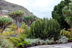 Northern Gran Canaria tour with botanical garden visit