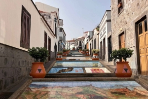 Northern Gran Canaria tour with botanical garden visit