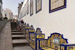 Northern Gran Canaria tour with botanical garden visit