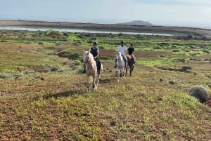 1 hour relaxing horse riding tour in Gran Canaria
