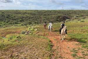 1 hour relaxing horse riding tour in Gran Canaria