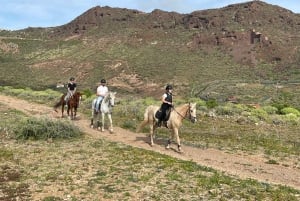 1 hour relaxing horse riding tour in Gran Canaria