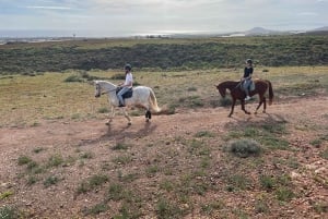 1 hour relaxing horse riding tour in Gran Canaria
