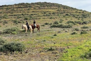 1 hour relaxing horse riding tour in Gran Canaria
