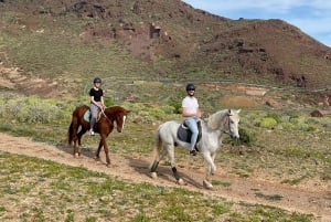 1 hour relaxing horse riding tour in Gran Canaria