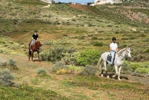 1 hour relaxing horse riding tour in Gran Canaria