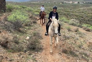 1 hour relaxing horse riding tour in Gran Canaria