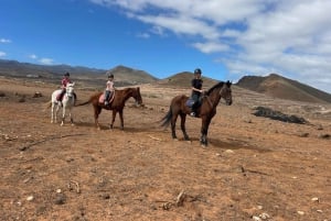 1 hour relaxing horse riding tour in Gran Canaria