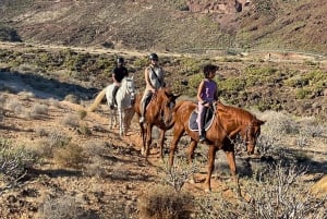 1 hour relaxing horse riding tour in Gran Canaria