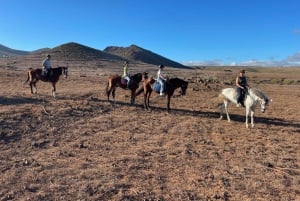 1 hour relaxing horse riding tour in Gran Canaria