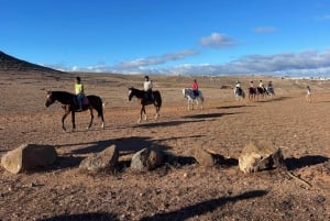 1 hour relaxing horse riding tour in Gran Canaria