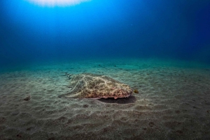 PADI ADVANCED OPEN WATER DIVER