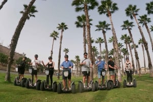 Tour en Segway Panorama