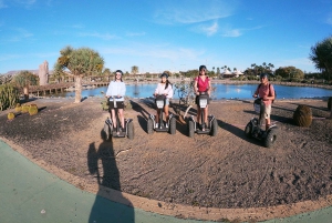 Tour en Segway Panorama
