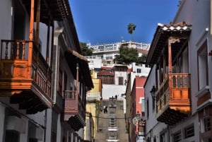 Gran Canaria Peaks in Minibus: Firgas, Teror, Aloe Vera tour