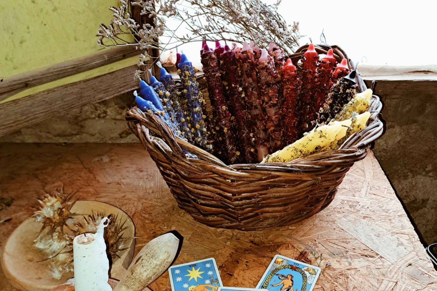 Plants and natural elements for Witchcraft and Tarot