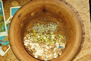 Plants and natural elements for Witchcraft and Tarot